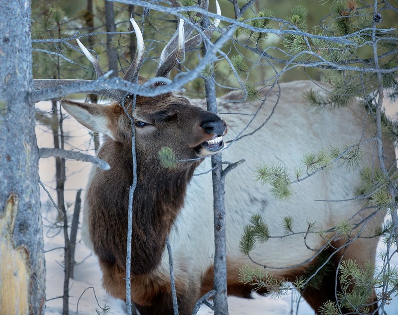 0615a597-0939-42cf-9f50-c7a2d91c9565