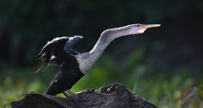 8e70ed5a-6ba2-460a-ba86-b8b5f1dfa71f