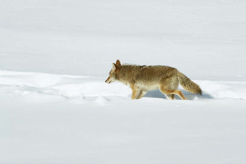 413f10e2-5a14-4aa4-bff9-f5f85a3ef2df