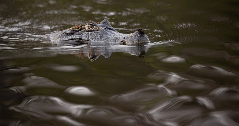 d4a14f8d-3e90-46a5-b799-b70bc3ed7b21