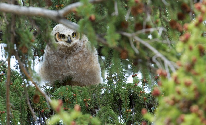 6578a211-9ca3-4d25-87b3-c25a70e1550f