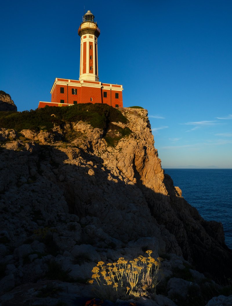 a4a6641e-a405-4d3f-b1bc-99a2efac636a