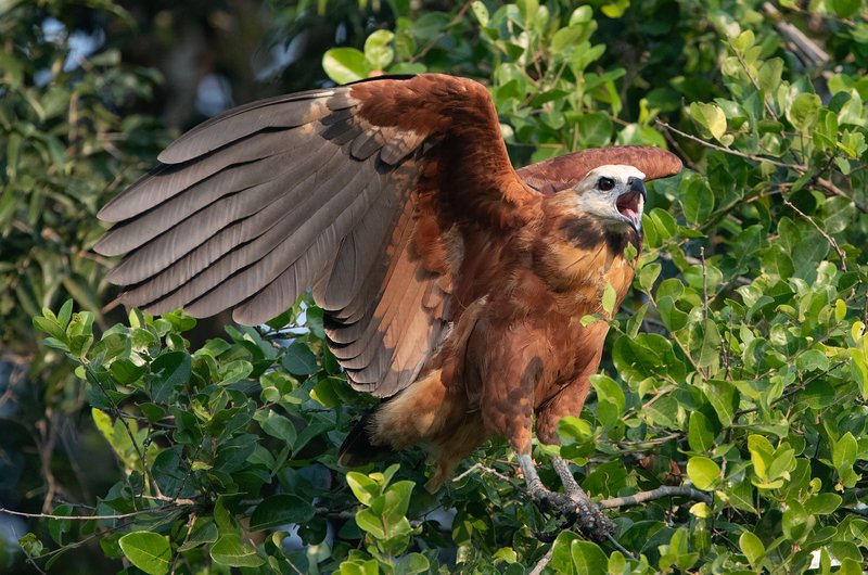 f55bba57-89b3-4e6d-8801-1349459b4ef4