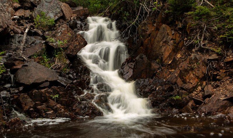 4d822076-0ce2-4a69-933b-422006197ffc