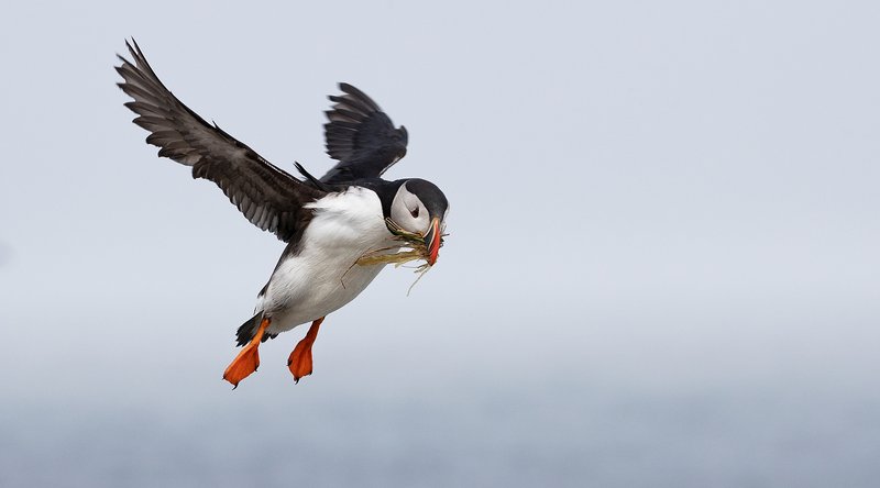 cf65f6f0-e1d2-4306-b303-802c9694e647