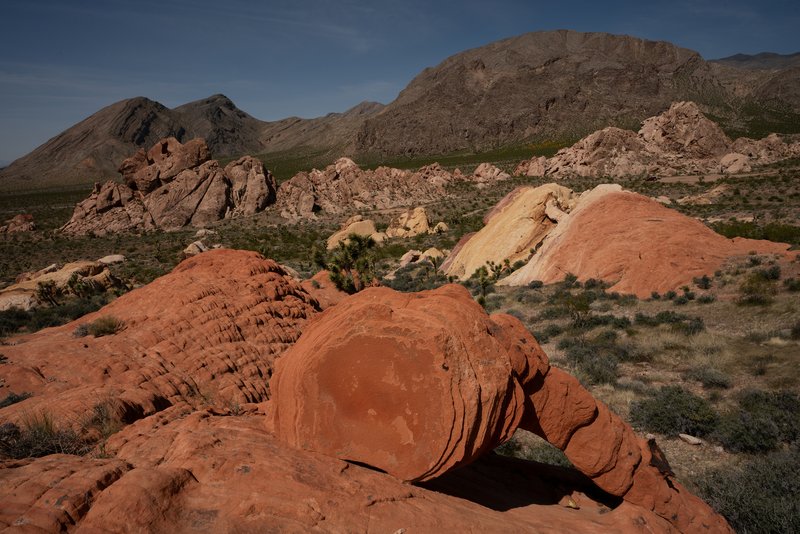 816665ee-b1a5-43b1-a9b9-53cb0a5146da