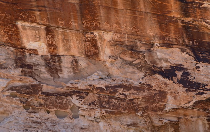 8f5531f2-06d4-4721-9bda-6be8efc7ce55