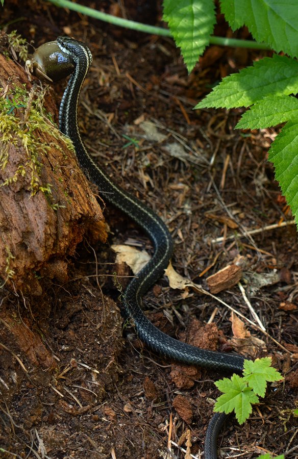 720a78d1-f82f-4b8d-ade9-a8fd46e6eff9