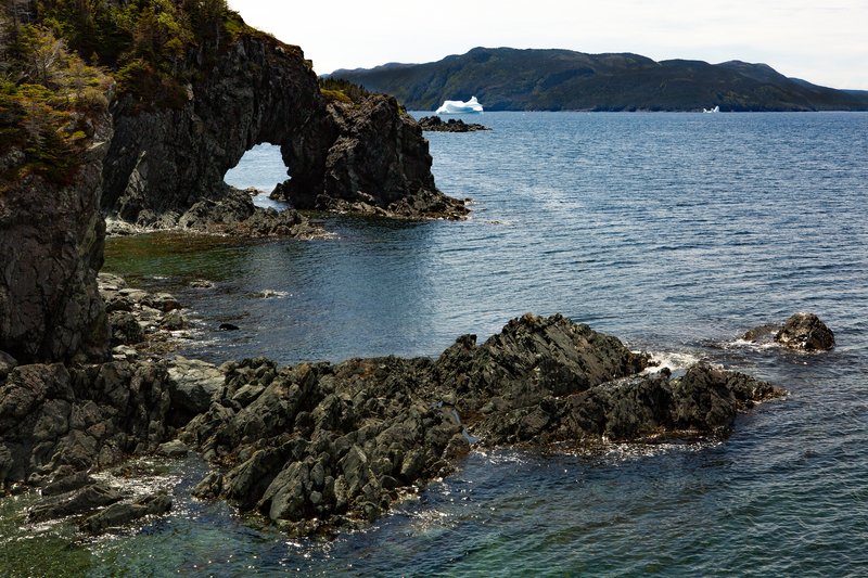 25db7231-bf34-47eb-84f6-899e52839d75