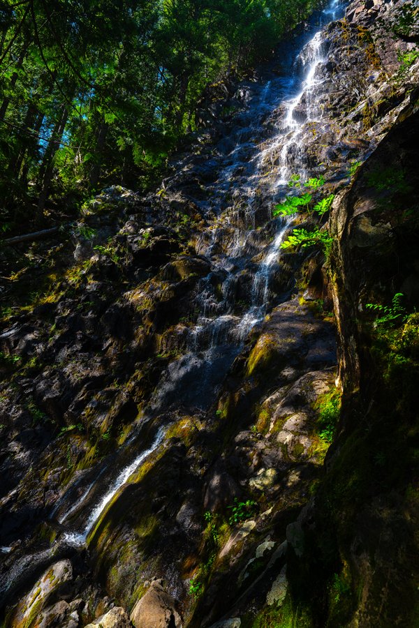 9adaefbb-a09a-4c66-9415-bcebba8beead