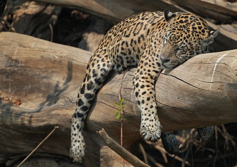 14904e1e-b43d-4e3e-8819-46f4867b0eb7