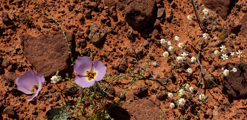 0dc8eaad-aa2a-442f-b5f5-35088af79c4c