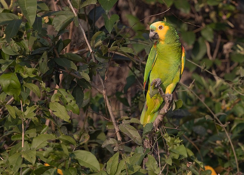 526e2f93-16cd-406c-afa1-4e98e6a81f65