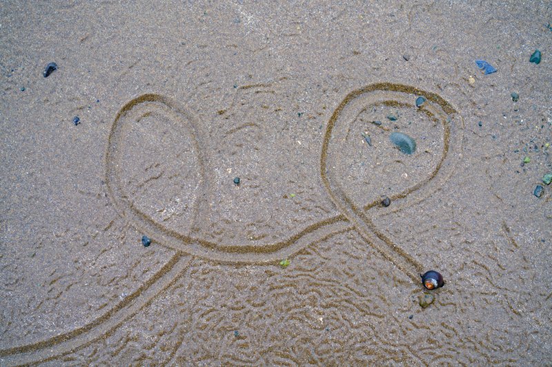 7177d9d4-19bf-46ab-81f1-24861fc4f824