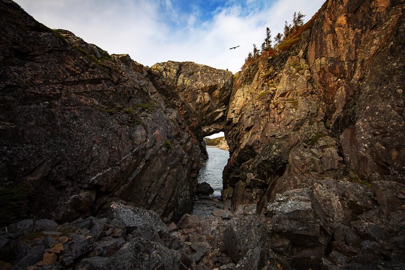 af25ea09-4fd9-4e2b-82f3-0613658a9b0d