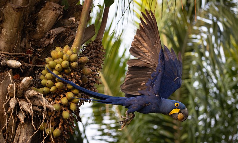 6dabd3e2-1326-429b-b9b2-a2e003520379