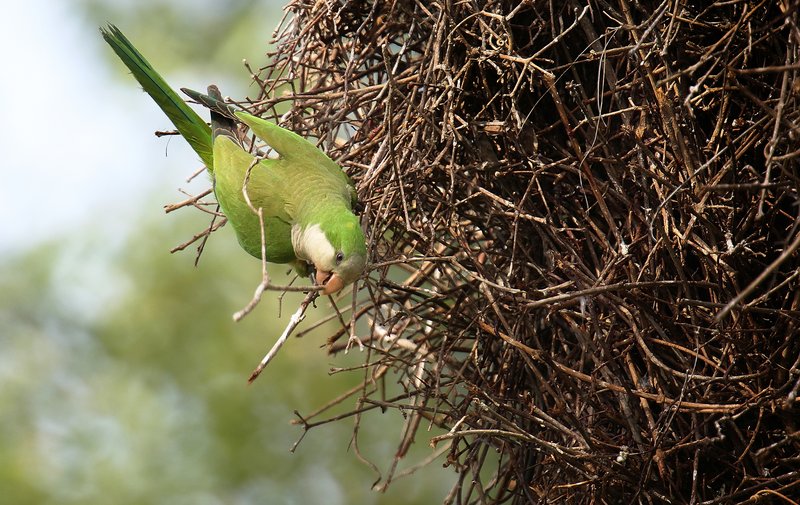 47ac809f-9884-4f31-8a13-5de1936e5f62