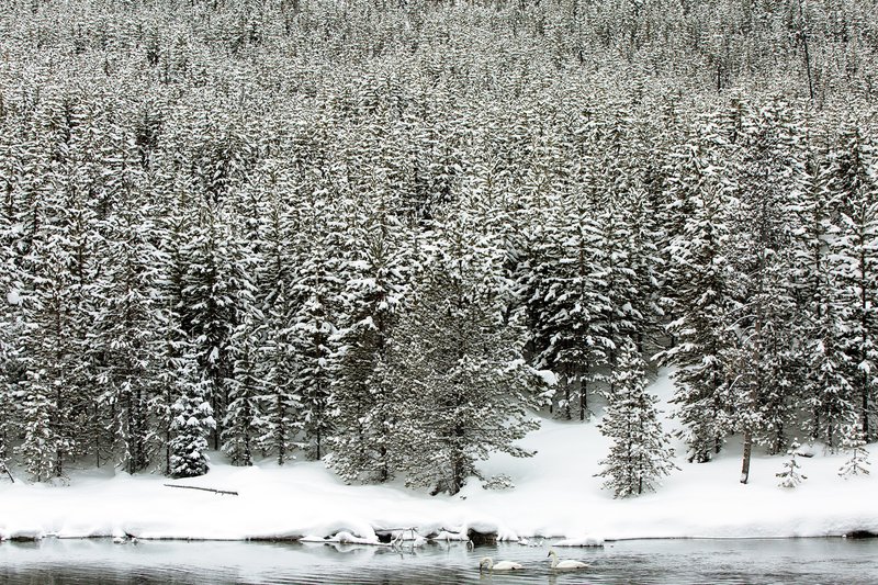 77ab655e-9bf6-4d33-b613-1ff3e5ed4015