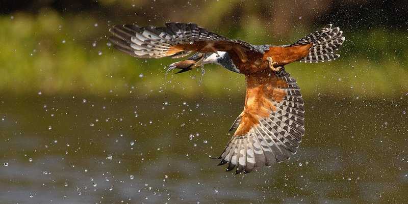 c8cc594c-8bd1-47f1-9dbd-601d7fda2563