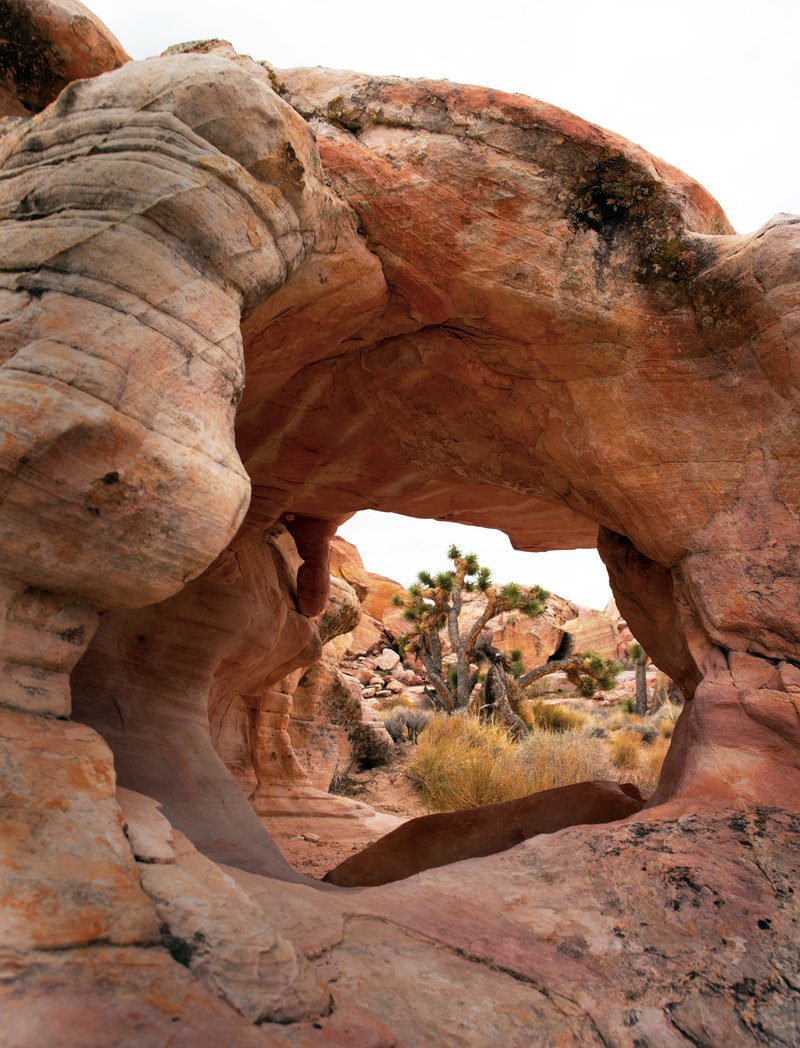 2ec1ed85-b1d5-46cc-85dd-d05826eaabc7